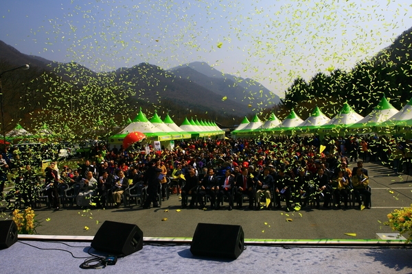 남창골에 고로쇠 축제