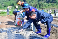 산나물축제 공동채취시범포 ...