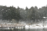 겨울축령산