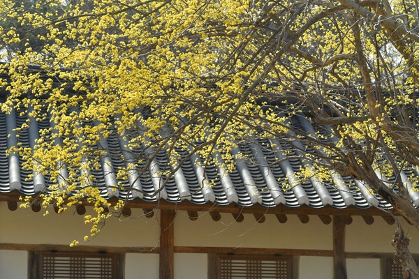 고산서원