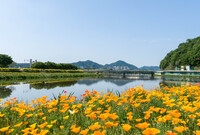 황룡강변