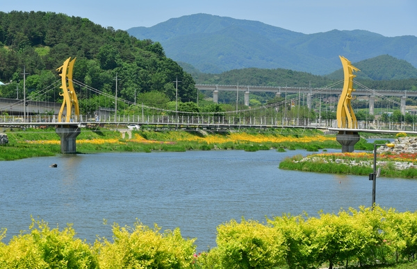 황룡강변 봄꽃3