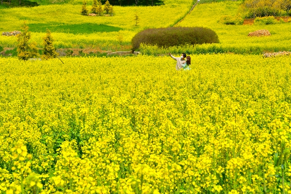 동화면 유체꽃밭