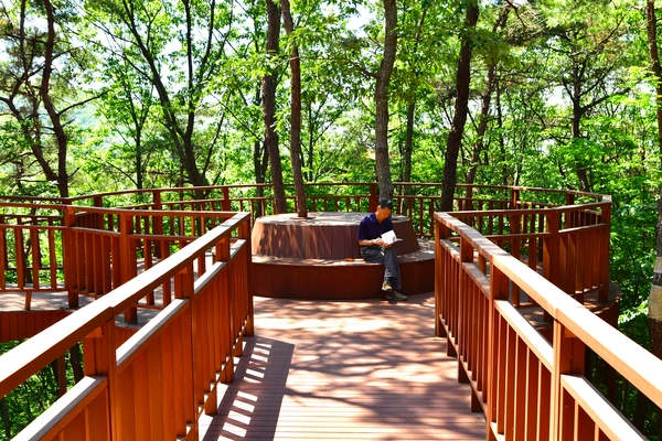 축령산 하늘다리