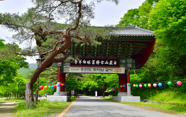 백양사 