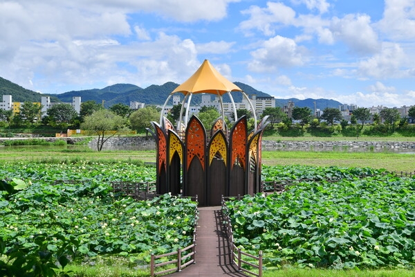 연꽃정원