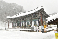 백양사 설경