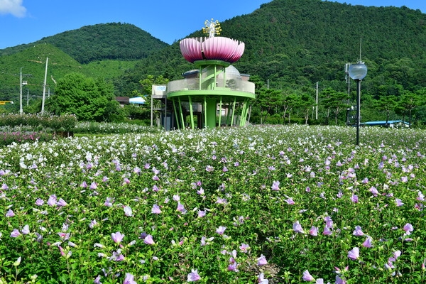 무궁화 공원